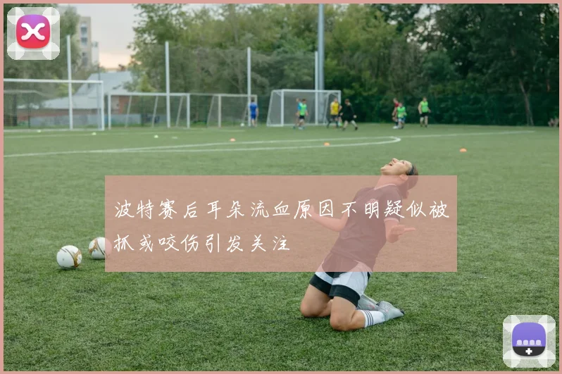 波特赛后耳朵流血原因不明疑似被抓或咬伤引发关注
