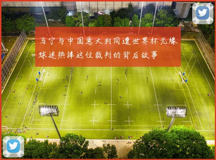 马宁与中国意大利同遭世界杯无缘球迷热捧这位裁判的背后故事